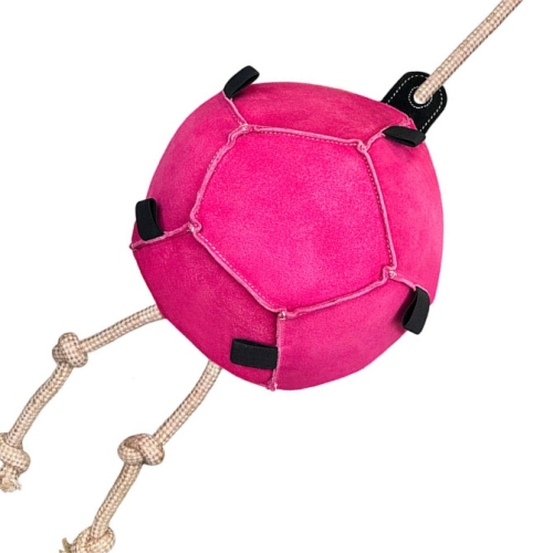 Zabawka-do-boksu-York-Ball-różowa