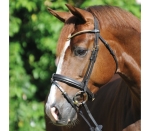 Kavalkade Ogłowie Clincheese