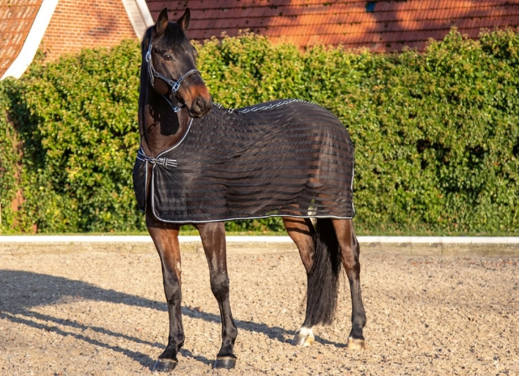 Derka siatkowa HKM Classic