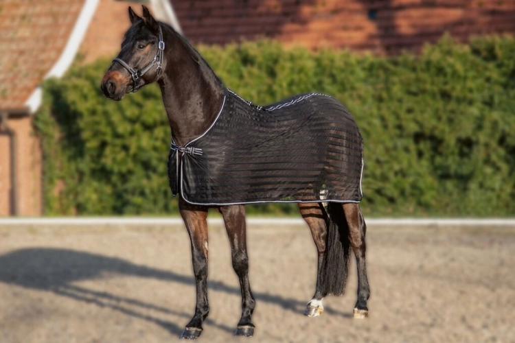 Derka siatkowa HKM Classic