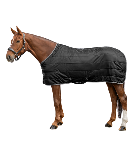 derka-stajenna-waldhausen-economic-200g-black-01