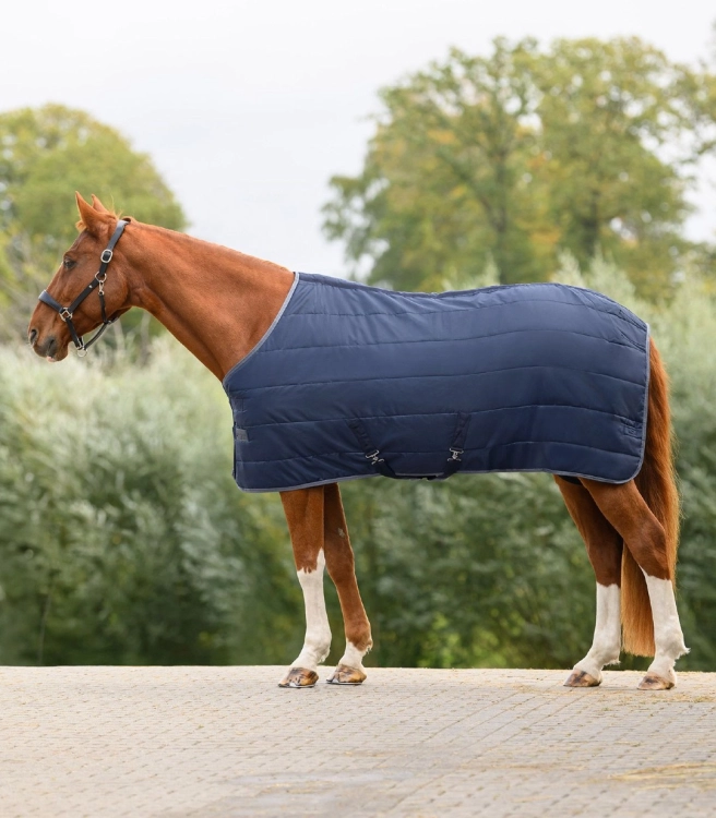 derka-stajenna-waldhausen-economic-200g-night-blue-02