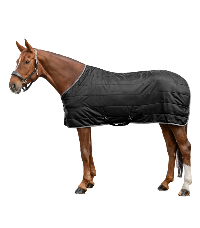 derka-stajenna-waldhausen-economic-300g-black-01