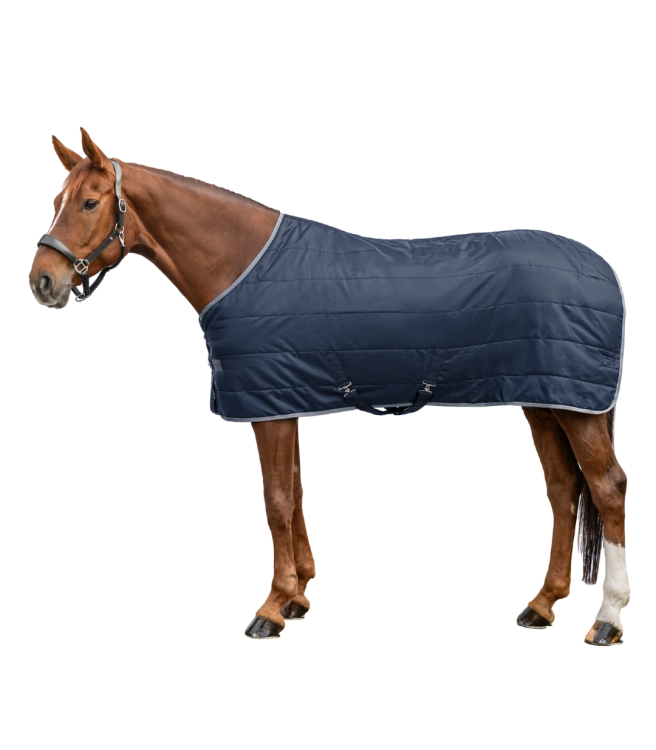 derka-stajenna-waldhausen-economic-300g-night-blue-01