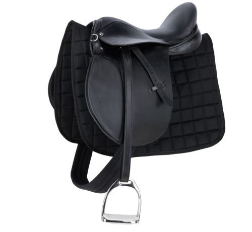 saddle.PNG