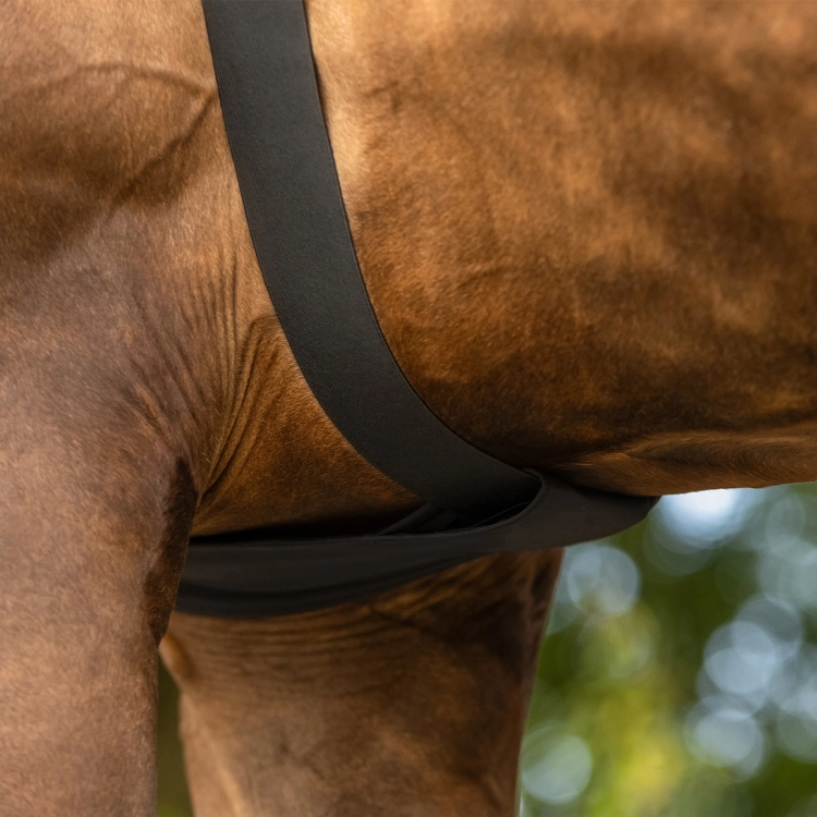 Koszulka-pod-derkę-QHP-Lycra-Neck-Protector