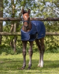 Derka-padokowa-zrebieca-QHP-Foal-Turnout