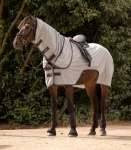 Derka-siatkowa-treningowa-WALDHAUSEN-Protect-08