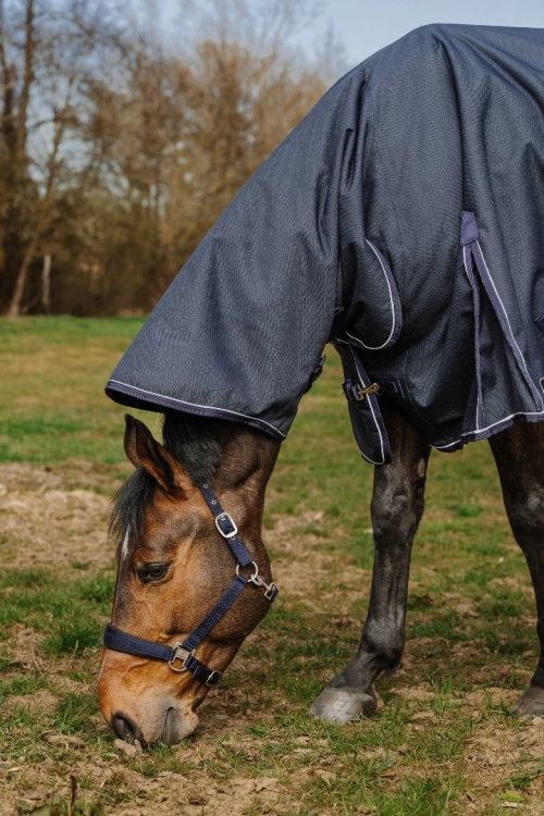 Derka-padokowa-z-kapturem-EquiTheme-Anatomic-Combo-1200D-50g