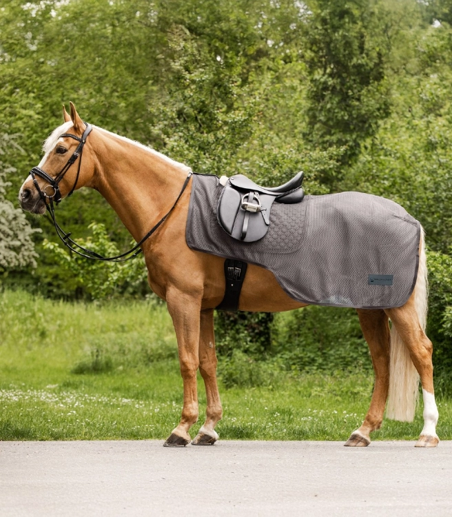 Derka-siatkowa-treningowa-WALDHAUSEN-Comfort-grey-01