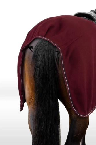 24368_280_02.webp