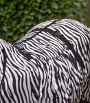 Derka-egzemowa-WALDHAUSEN-Basic-Zebra-05