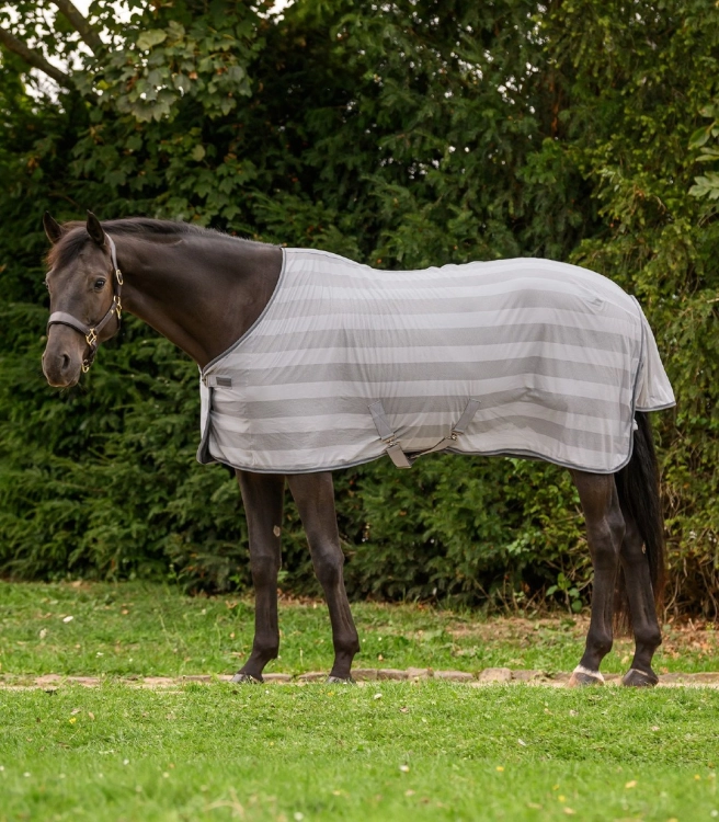 Derka-siatkowa-WALDHAUSEN-Economic-silver-grey-02