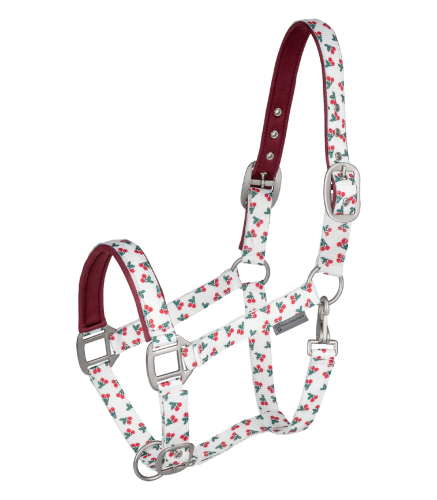 Kantar-WALDHAUSEN-Cherry-01