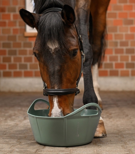 Miska-gumowa-WALDHAUSEN-Flexitub-10l-mistletoe-02