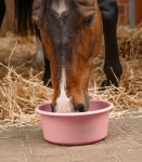 Miska-z-pokrywka-WALDHAUSEN-Feeding-Bowl-5l-linnea-pink-03