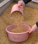 Miska-z-pokrywka-WALDHAUSEN-Feeding-Bowl-5l-linnea-pink-04