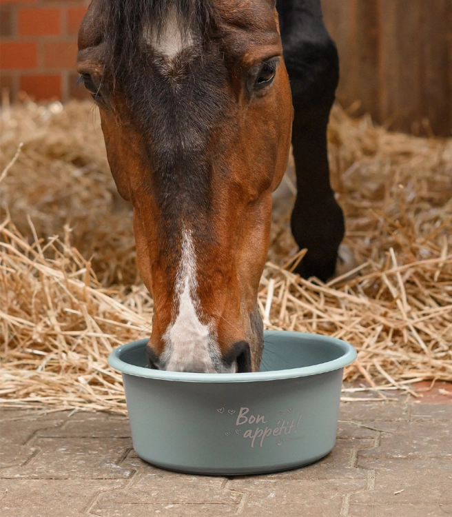 Miska-z-pokrywka-WALDHAUSEN-Feeding-Bowl-5l-mistletoe-02