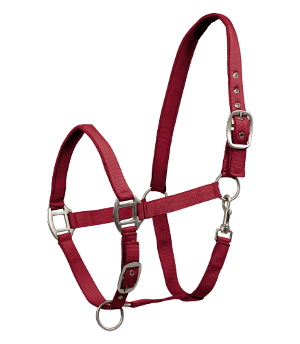 Kantar-WALDHAUSEN-Satin-cherry-red-01