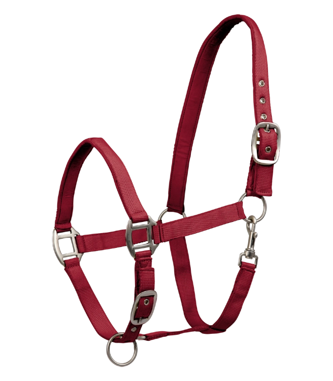 Kantar-WALDHAUSEN-Satin-cherry-red-01