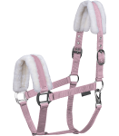 Kantar-WALDHAUSEN-First-Halter-cherry-blossom-01