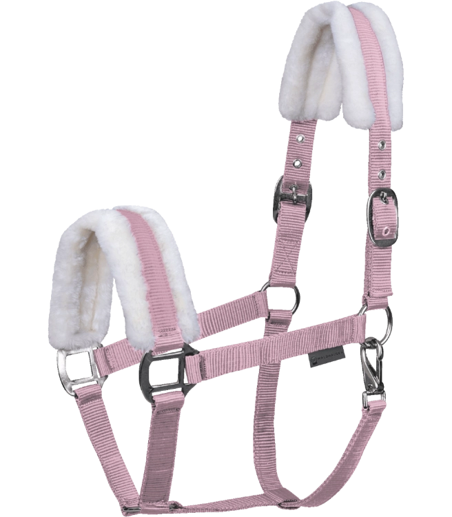 Kantar-WALDHAUSEN-First-Halter-cherry-blossom-01