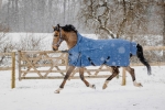 Derka-padokowa-EquiTheme-Tyrex-COBALT-High-Neck-1200D-0g-14