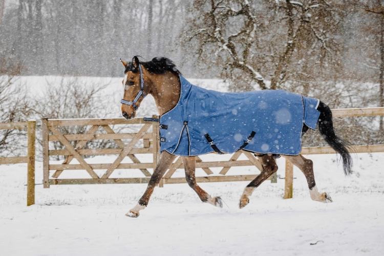 Derka-padokowa-EquiTheme-Tyrex-COBALT-High-Neck-1200D-0g-14