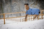 Derka-padokowa-EquiTheme-Tyrex-COBALT-High-Neck-1200D-0g-07
