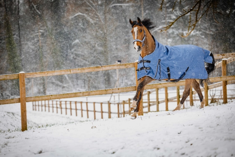 Derka-padokowa-EquiTheme-Tyrex-COBALT-High-Neck-1200D-0g-07