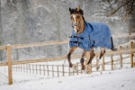 Derka-padokowa-EquiTheme-Tyrex-COBALT-High-Neck-1200D-0g-04