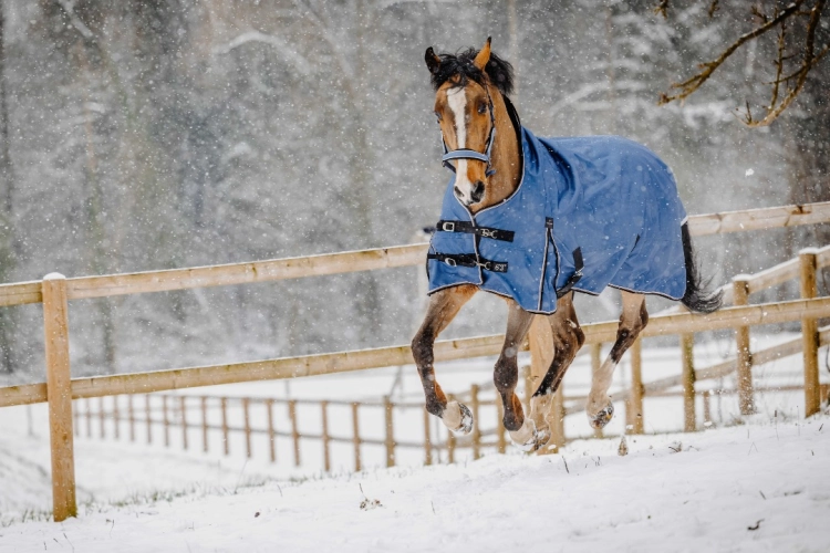 Derka-padokowa-EquiTheme-Tyrex-COBALT-High-Neck-1200D-0g-04
