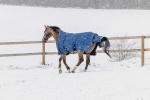 Derka-padokowa-EquiTheme-Tyrex-COBALT-High-Neck-1200D-0g-13