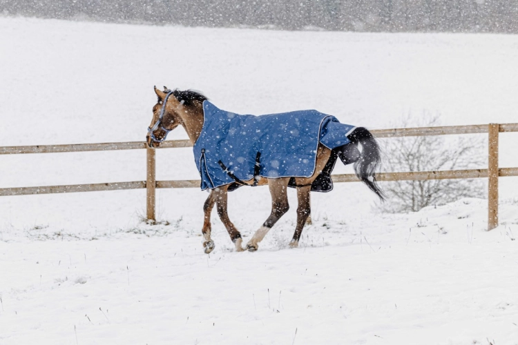 Derka-padokowa-EquiTheme-Tyrex-COBALT-High-Neck-1200D-0g-13