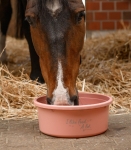 Miska-z-pokrywka-WALDHAUSEN-Feeding-Bowl-8l-linnea-pink-02