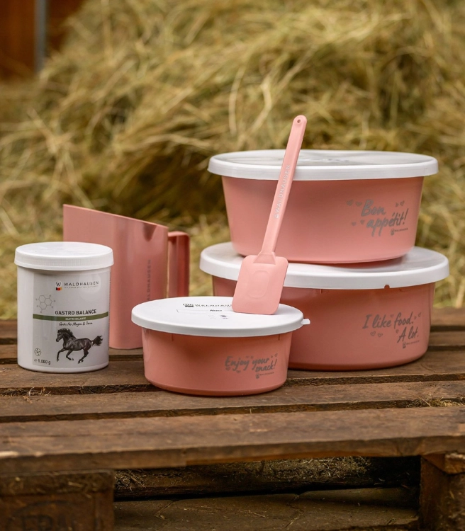 Miska-z-pokrywka-WALDHAUSEN-Feeding-Bowl-8l-linnea-pink-04