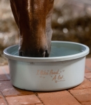 Miska-z-pokrywka-WALDHAUSEN-Feeding-Bowl-8l-turquoise-02
