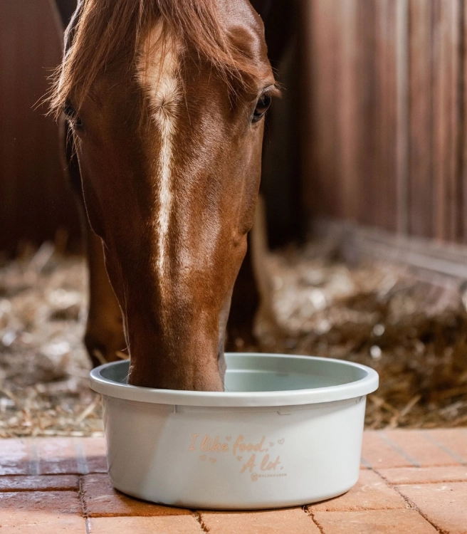 Miska-z-pokrywka-WALDHAUSEN-Feeding-Bowl-8l-turquoise-03
