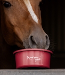 Miska-z-pokrywka-WALDHAUSEN-Feeding-Bowl-2l-cherry-red-06
