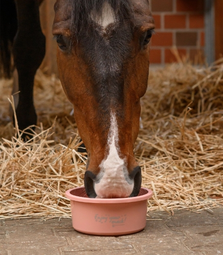 Miska-z-pokrywka-WALDHAUSEN-Feeding-Bowl-2l-linnea-pink-02