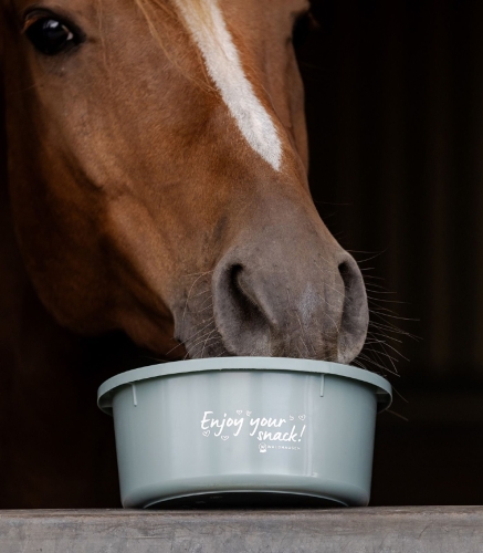 Miska-z-pokrywka-WALDHAUSEN-Feeding-Bowl-2l-mistletoe-02