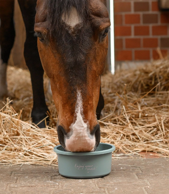 Miska-z-pokrywka-WALDHAUSEN-Feeding-Bowl-2l-mistletoe-03