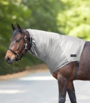 Kaptur-WALDHAUSEN-Eczema-silver-grey-02