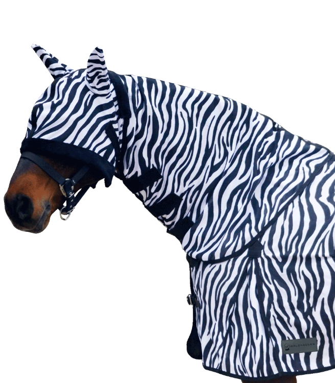 Kaptur-siatkowy-WALDHAUSEN-Zebra-02