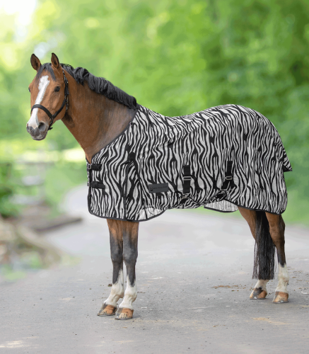 Derka-siatkowa-WALDHAUSEN-Zebra-02