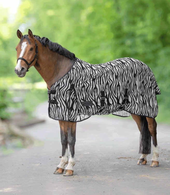 Derka-siatkowa-WALDHAUSEN-Zebra-02