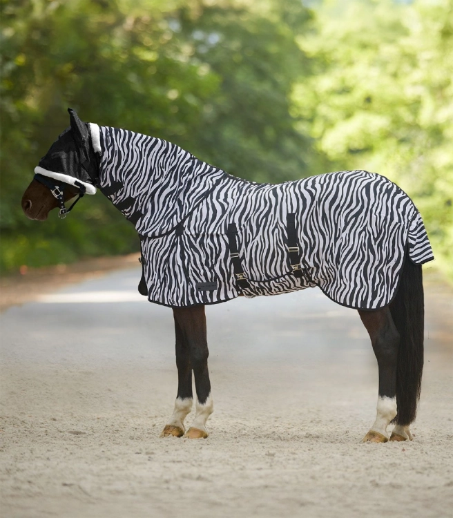Derka-siatkowa-WALDHAUSEN-Zebra-04