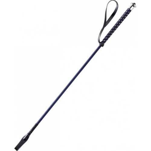 whipgo-points-whip (1).jpg