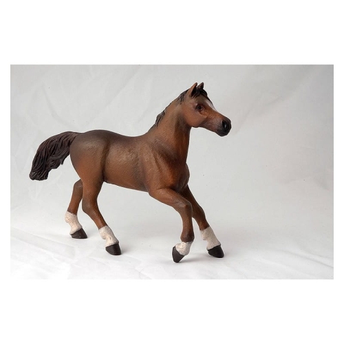 papo-anglo-arab-mare.jpg