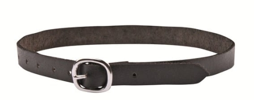 1896_1(1).jpg
